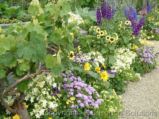 Rock wall flower border Ellerslie_2 